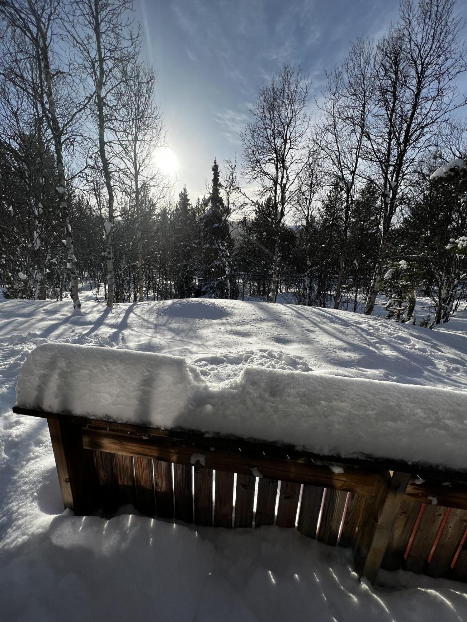 Koselig Hytte Med Usjenert Og Solrik Beliggenhet Geilo Exterior photo