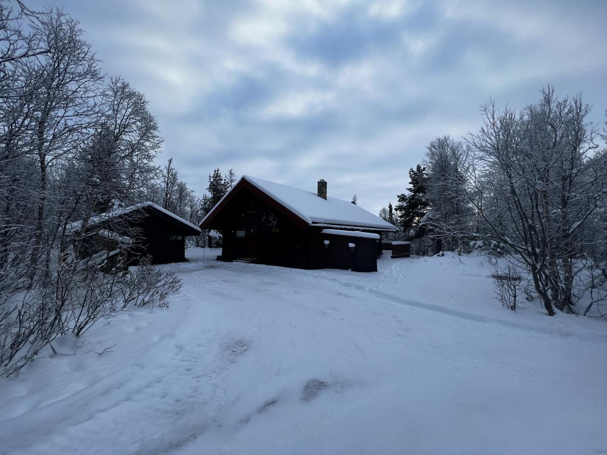 Koselig Hytte Med Usjenert Og Solrik Beliggenhet Geilo Exterior photo