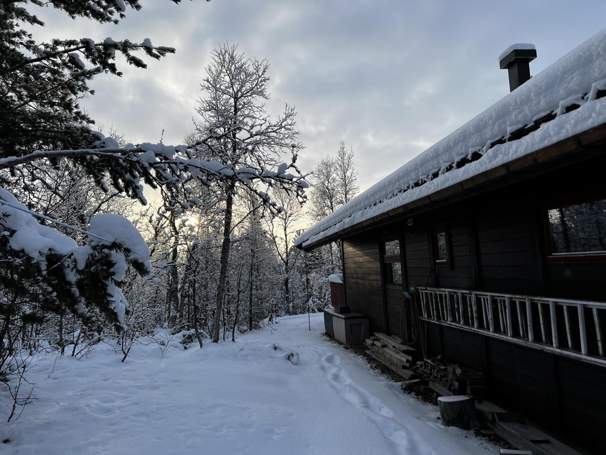 Koselig Hytte Med Usjenert Og Solrik Beliggenhet Geilo Exterior photo